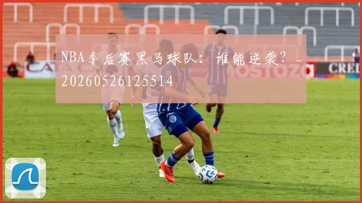 NBA季后赛黑马球队:谁能逆袭?_20260526125514