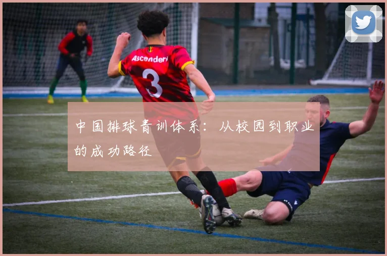中国排球青训体系：从校园到职业的成功路径
